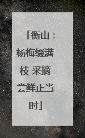 衡山：杨梅缀满枝 采摘尝鲜正当时