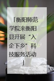 衡阳师范学院来衡阳县开展“入企下乡”科技服务活动