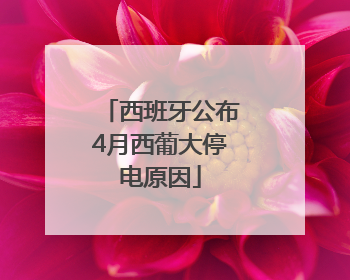 西班牙公布4月西葡大停电原因
