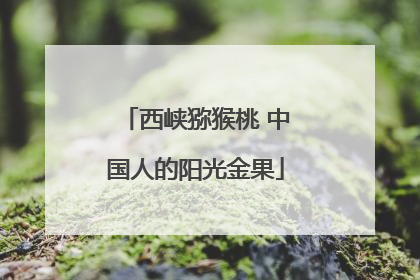 西峡猕猴桃 中国人的阳光金果