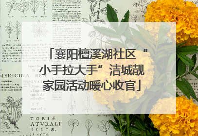 襄阳檀溪湖社区“小手拉大手”洁城靓家园活动暖心收官