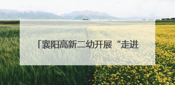 襄阳高新二幼开展“走进小学 遇见成长”活动