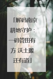 解码南京耕地守护：一码管田有方 沃土搬迁有道