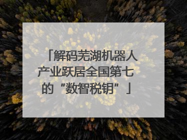 解码芜湖机器人产业跃居全国第七的“数智税钥”