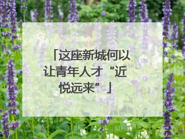 这座新城何以让青年人才“近悦远来”