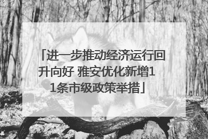 进一步推动经济运行回升向好 雅安优化新增11条市级政策举措
