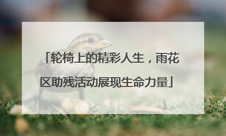 轮椅上的精彩人生，雨花区助残活动展现生命力量