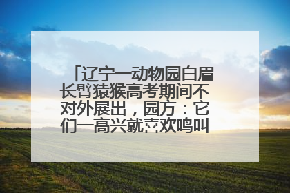 辽宁一动物园白眉长臂猿猴高考期间不对外展出，园方：它们一高兴就喜欢鸣叫，怕影响考试