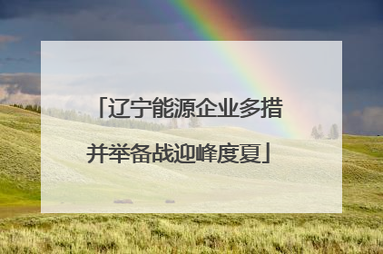 辽宁能源企业多措并举备战迎峰度夏