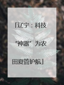 辽宁：科技“神器”为农田夏管护航