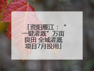 资阳雁江：“一键灌溉”万亩良田 全域灌溉项目7月投用