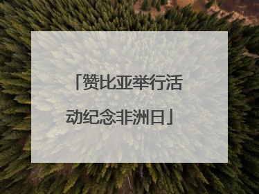 赞比亚举行活动纪念非洲日