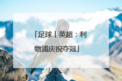 足球丨英超：利物浦庆祝夺冠