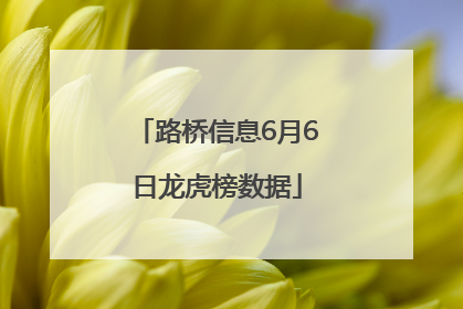 路桥信息6月6日龙虎榜数据