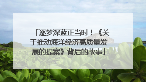 逐梦深蓝正当时！《关于推动海洋经济高质量发展的提案》背后的故事
