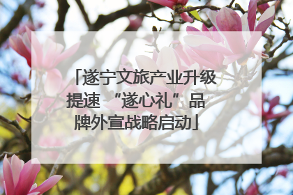 遂宁文旅产业升级提速 “遂心礼”品牌外宣战略启动