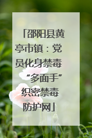 邵阳县黄亭市镇：党员化身禁毒“多面手” 织密禁毒防护网