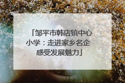 邹平市韩店镇中心小学：走进家乡名企 感受发展魅力