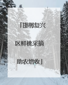 邯郸复兴区鲜桃采摘助农增收