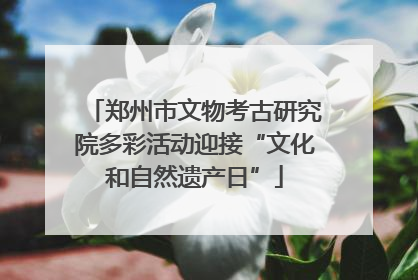 郑州市文物考古研究院多彩活动迎接“文化和自然遗产日”