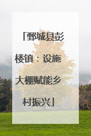 鄄城县彭楼镇：设施大棚赋能乡村振兴