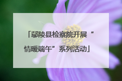 鄢陵县检察院开展“情暖端午”系列活动
