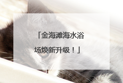 金海滩海水浴场焕新升级！