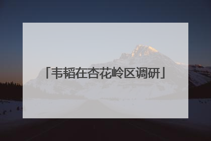 韦韬在杏花岭区调研