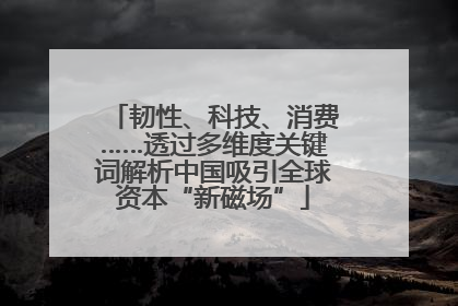 韧性、科技、消费……透过多维度关键词解析中国吸引全球资本“新磁场”