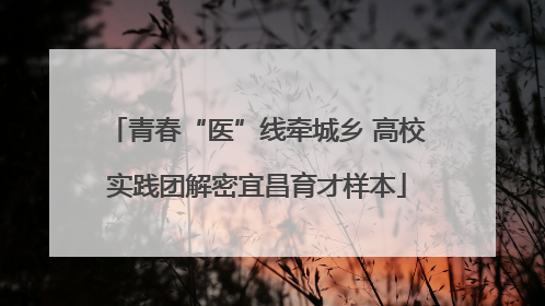青春“医”线牵城乡 高校实践团解密宜昌育才样本