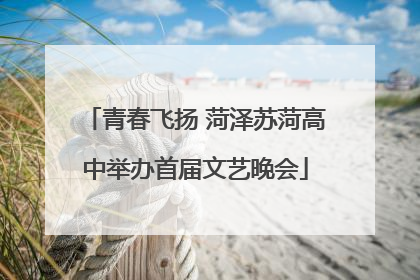 青春飞扬 菏泽苏菏高中举办首届文艺晚会