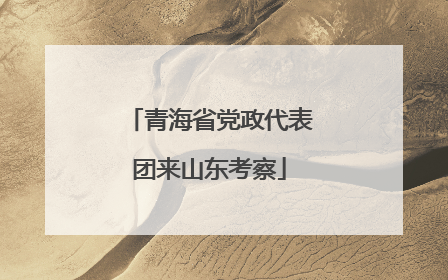 青海省党政代表团来山东考察
