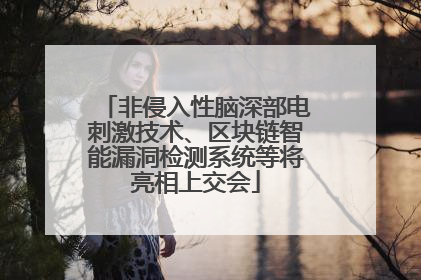 非侵入性脑深部电刺激技术、区块链智能漏洞检测系统等将亮相上交会