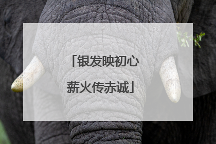 银发映初心 薪火传赤诚