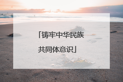 铸牢中华民族共同体意识