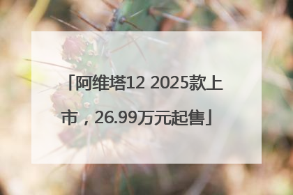 阿维塔12 2025款上市，26.99万元起售