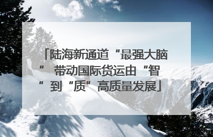 陆海新通道“最强大脑” 带动国际货运由“智”到“质”高质量发展