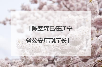 陈密森已任辽宁省公安厅副厅长