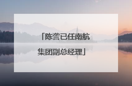 陈詟已任南航集团副总经理