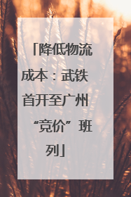 降低物流成本：武铁首开至广州“竞价”班列