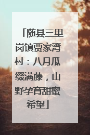 随县三里岗镇贾家湾村：八月瓜缀满藤，山野孕育甜蜜希望