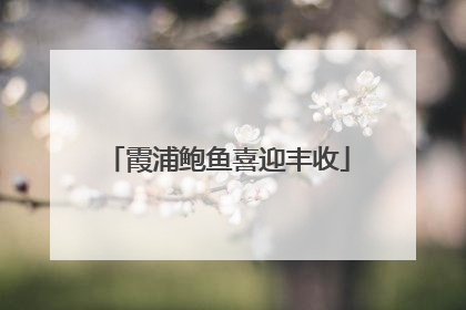 霞浦鲍鱼喜迎丰收