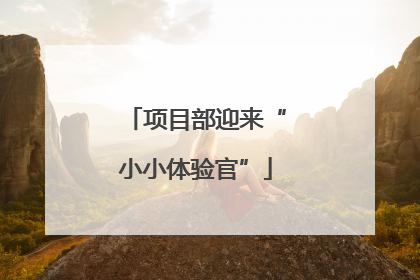 项目部迎来“小小体验官”