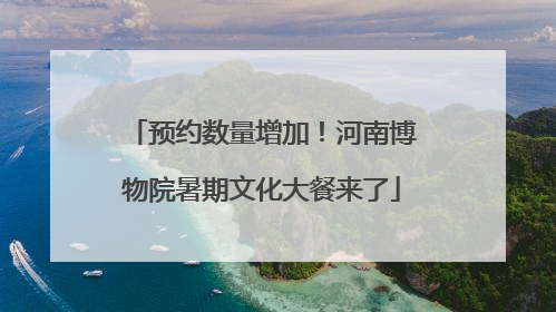 预约数量增加！河南博物院暑期文化大餐来了