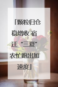 颗粒归仓稳增收 宿迁“三夏”农忙跑出加速度