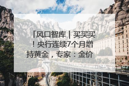 风口智库｜买买买！央行连续7个月增持黄金，专家：金价或仍易涨难跌