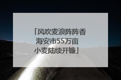 风吹麦浪阵阵香 海安市55万亩小麦陆续开镰