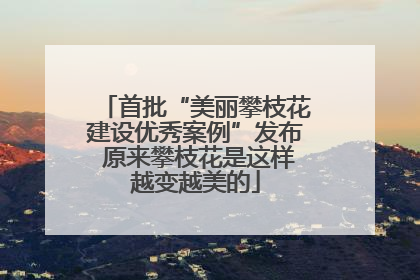 首批“美丽攀枝花建设优秀案例”发布 原来攀枝花是这样越变越美的