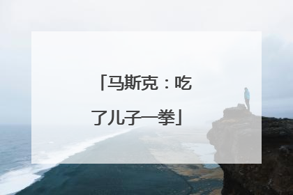 马斯克：吃了儿子一拳