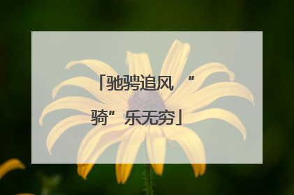 驰骋追风 “骑”乐无穷